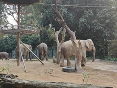 -广州长隆野生动物世界