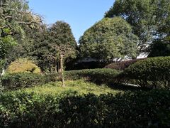 -蒋氏故居