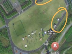 -春花秋色城市公园