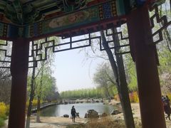-云岗森林公园