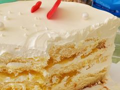 -维尔纳斯·生日蛋糕·动物奶油冰淇淋蛋糕(六里桥店)