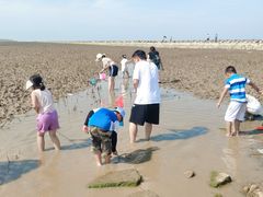 -南汇嘴观海公园