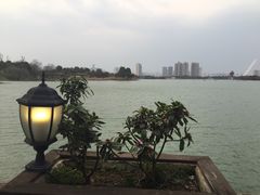 -大耳象东南亚风情餐厅(月湖公园店)