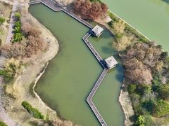 -同里国家湿地公园