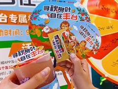 -蜜雪冰城(万达广场店)