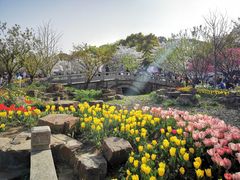 -苏州上方山国家森林公园