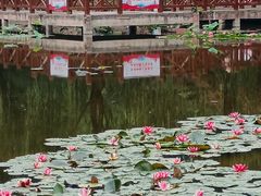 -丰台科技园生态主题公园