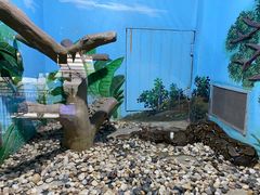 -石家庄市动物园