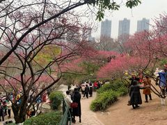 -重庆彩云湖湿地公园