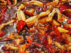 水煮蛙-呱呱兔庄