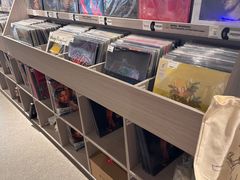 -浣熊唱片店(上海影城店)