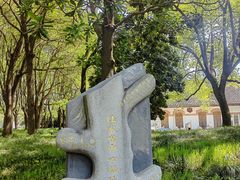 -陆家嘴中心绿地