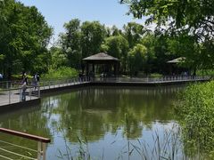 -同里国家湿地公园
