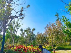 -商丘市人民公园