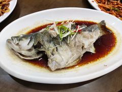 清蒸鲈鱼-金阁家常菜(贵阳路店)