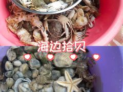 -红树林天天赶海
