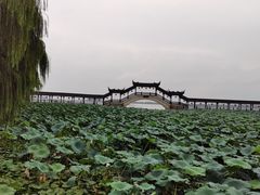 -南北湖风景区