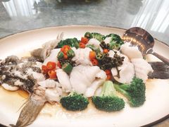 -顺意·顺德家乡菜(国际人才大厦店)