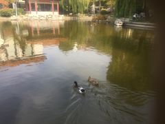 -舜耕山庄四时万和自助餐厅