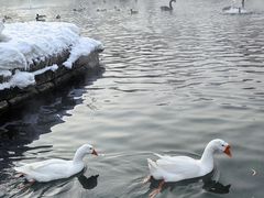 -水磨沟公园