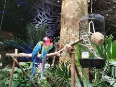 -杭州开元森泊度假乐园