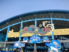 -泉城欧乐堡海洋极地世界