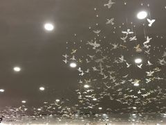 -富豪酒家(正大广场店)