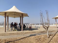 -渭河城市绿地运动公园