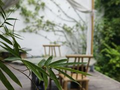 -白鹭湾湿地公园