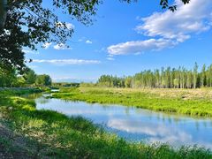 -东郊湿地公园
