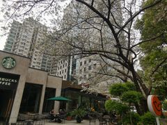-玛格萝妮比萨屋(四平店)
