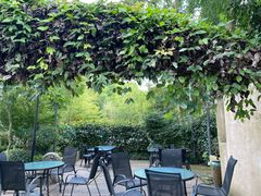 -旅马餐厅(茅家埠店)