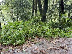 -苍山感通索道