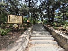 -北京西山国家森林公园