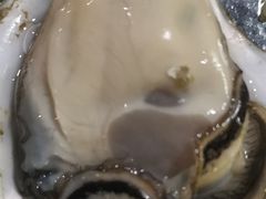 -八一湛江生蚝(文明东路总店)