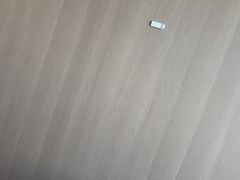 -极致味道动物奶油生日蛋糕(时尚店)