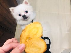 小蝴蝶酥-上海哈尔滨食品厂(淮海中路店)