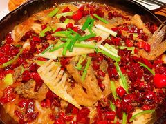 -老板恋上鱼(高新万达店)
