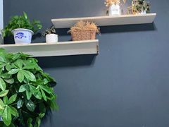 -争鲜·鲍鱼鸡煲(美邻中心店)