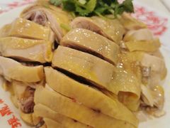 -振鼎鸡(华阴路店)