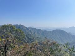-大岭沟猕猴桃谷风景区