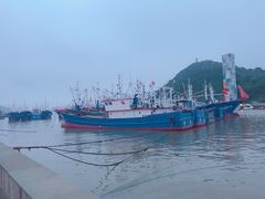 -沈家门渔港