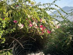 -桤木河湿地公园