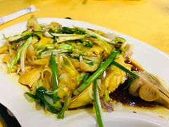 -鸽王世家(东华东路店)