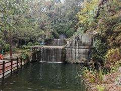 -千岛湖东南湖区