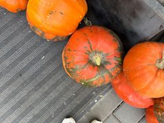 -婕妮璐超市 Jenny Lou’s Shop(三里屯店)