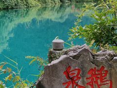 -靖西鹅泉风景区