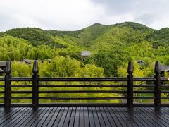 -大唐贡茶院