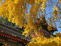 -承恩寺