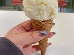 -Mint Gelato(二厂店)